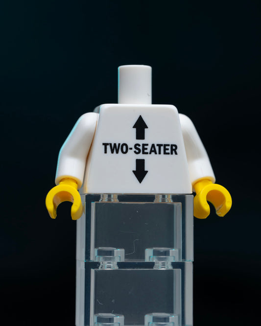 Two-Seater Torso